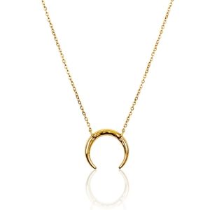 BENEVOLENCE  Golden Good Luck Horseshoe Necklace Looks Real